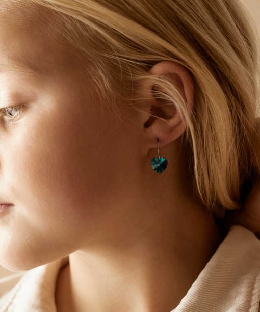 Alternative view of Øredobber i medisinsk titan