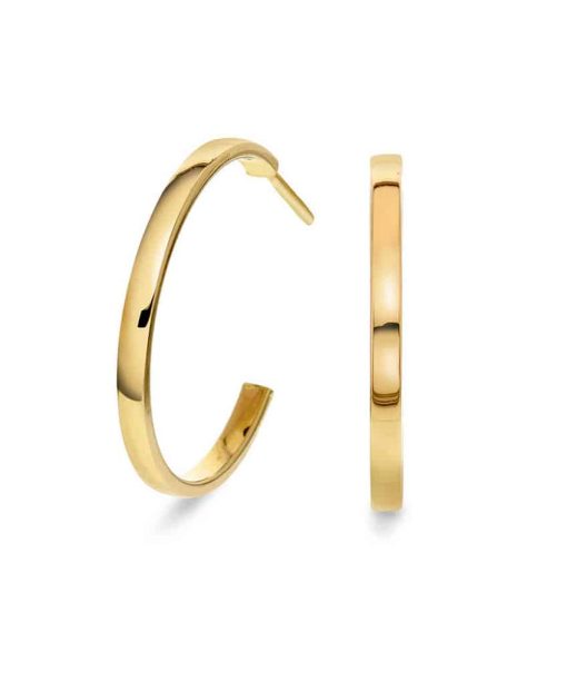 Øreringer i gull med stikk (22mm)