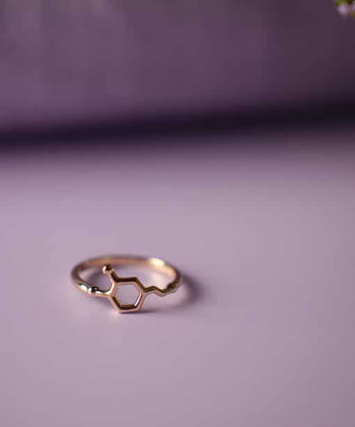 Alternative view of Ring i sølv dopamin motivasjon