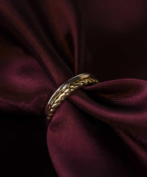 Alternative view of Ring i gull, to-farget