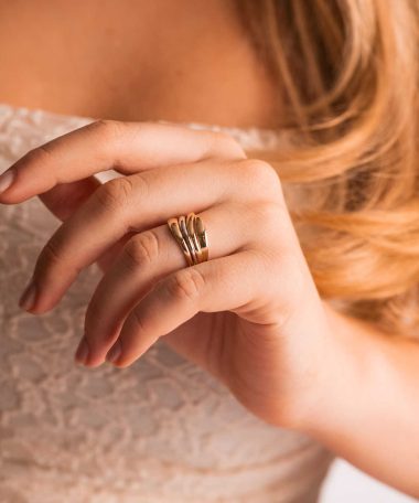 Alternative view of Ring i gull