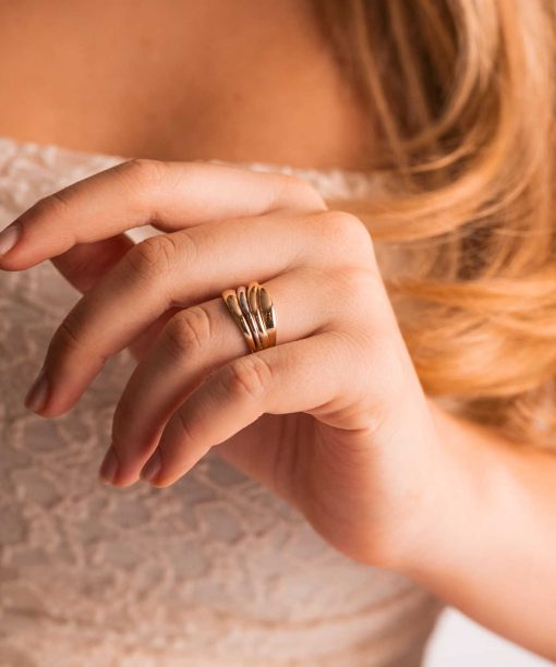 Alternative view of Ring i gull