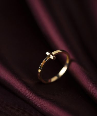 Alternative view of Ring i gull