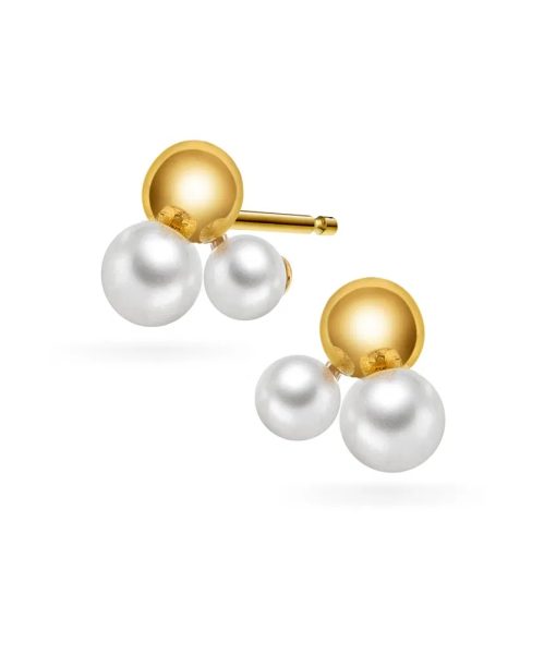 Øredobber i gull med fvp