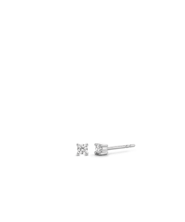 TI Sento - Milano Earrings 925S