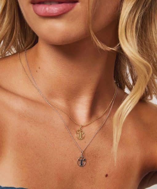 Alternative view of Smykke i sølv - Krepsen