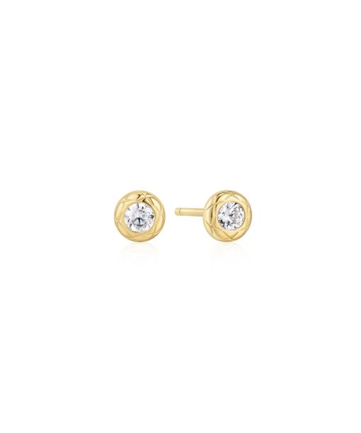 Ania Haie Gold Textured Bezel-Set Stud Earrings